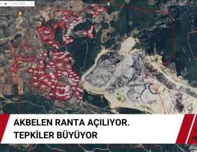 Akbelen Ormanı Çevresindeki Tarım Arazileri Kamulaştırıldı