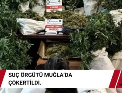 Marmaris Suç Örgütü Çabuk Çetesi Çökertildi