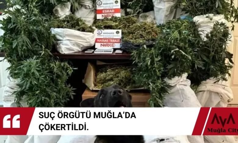 Marmaris Suç Örgütü Çabuk Çetesi Çökertildi