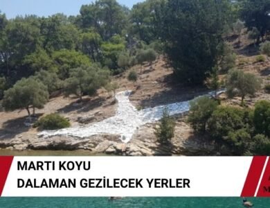 Martı Koyu – Dalaman Gezilecek Yerler