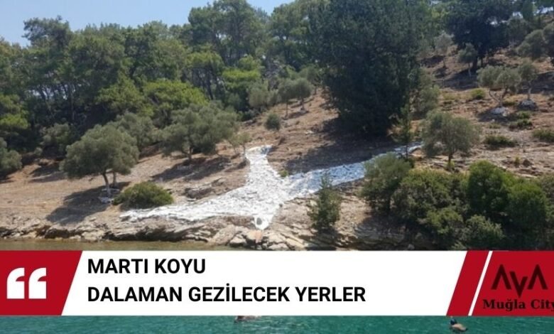 Martı Koyu – Dalaman Gezilecek Yerler