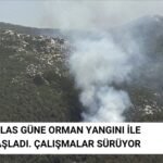 Muğla Milas Orman Yangını İle Güne Başladı