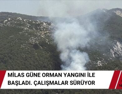 Muğla Milas Orman Yangını İle Güne Başladı