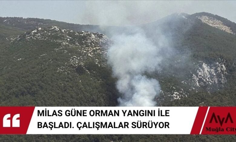 Muğla Milas Orman Yangını İle Güne Başladı