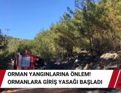 Ormanlara Giriş Yasağı Resmen Başladı