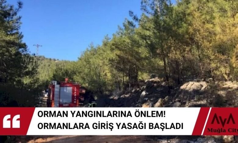 Ormanlara Giriş Yasağı Resmen Başladı