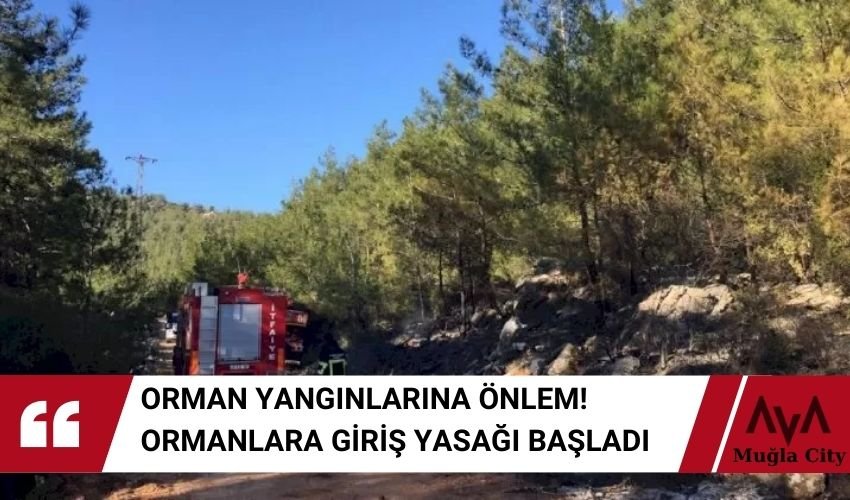 Ormanlara Giriş Yasağı Resmen Başladı