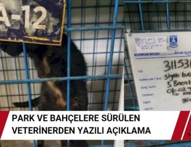 Veteriner İşleri Görevinden Alınmıştı - Yazılı Açıklama Geldi