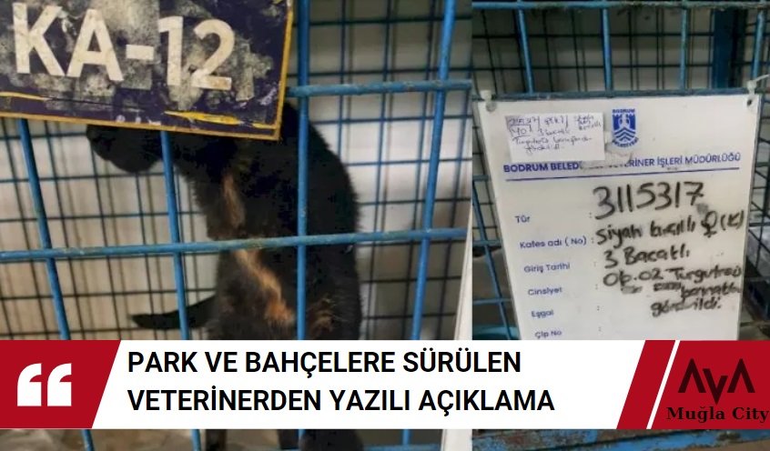 Veteriner İşleri Görevinden Alınmıştı - Yazılı Açıklama Geldi