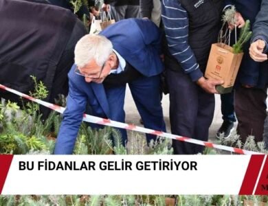 Yatağan'da Fidan Dağıtımı Gelir Getirecek